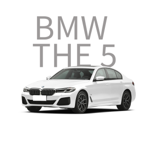 BMW THE 5 Car Ambient Light, Interior Lighting System, Retrofit Lamps and Lighting