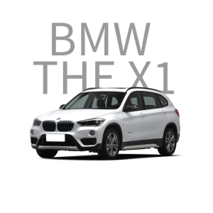 BMW THE X1 Car Ambient Light, Interior Lighting System, Retrofit Lamps and Lighting