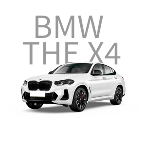 BMW THE X4 Car Ambient Light, Interior Lighting System, Retrofit Lamps and Lighting