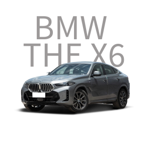 BMW THE X6 Car Ambient Light, Interior Lighting System, Retrofit Lamps and Lighting