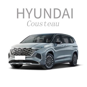 21-24 Hyundai Cousteau Ambient Lighting/Cousteau Ambient Lighting