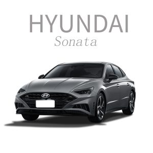 Sonata Ambient Lighting / Sonata-specific Ambient Lighting