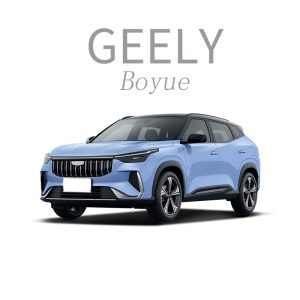 Car Ambient Light For Geely Boyue/Ambient Light For Boyue